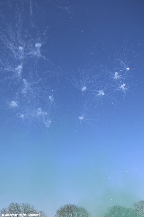 Klik op de foto om originele grootte te bekijken