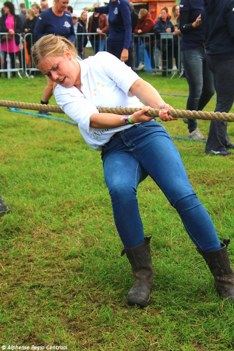 Klik op de foto om originele grootte te bekijken