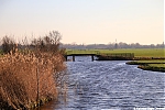 s6181_ARC-Foto_Polder_bij_Kerkvaartseweg.jpg
