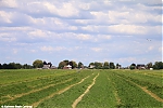 s8774_ARC-Foto_Langs_de_Korteraarseweg_Aarlanderveen.jpg