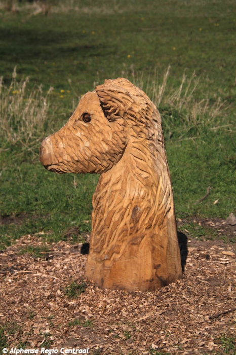 Klik op de foto om originele grootte te bekijken