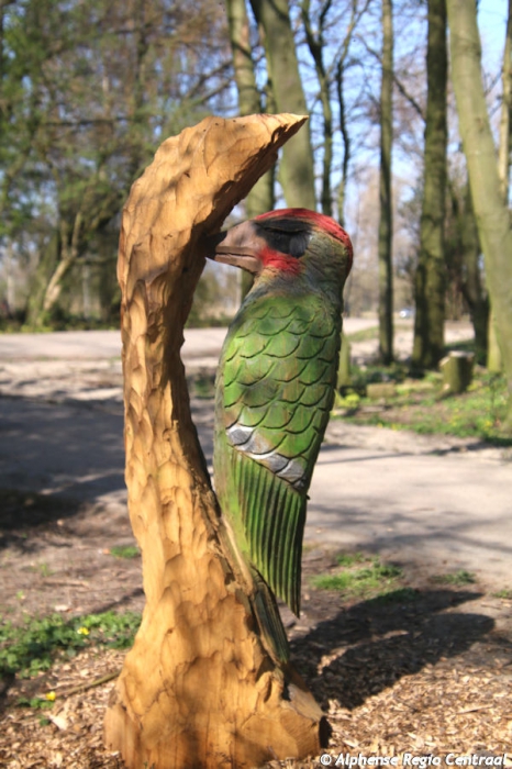 Klik op de foto om originele grootte te bekijken