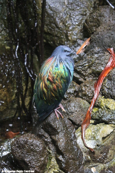 Klik op de foto om originele grootte te bekijken