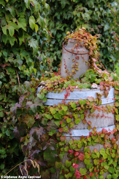 Klik op de foto om originele grootte te bekijken