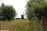 s8009_ARC-Foto_Honddijkse_molen.jpg