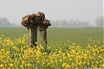 s6652_Errel2000_Polder_bij_Koudekerk.jpg
